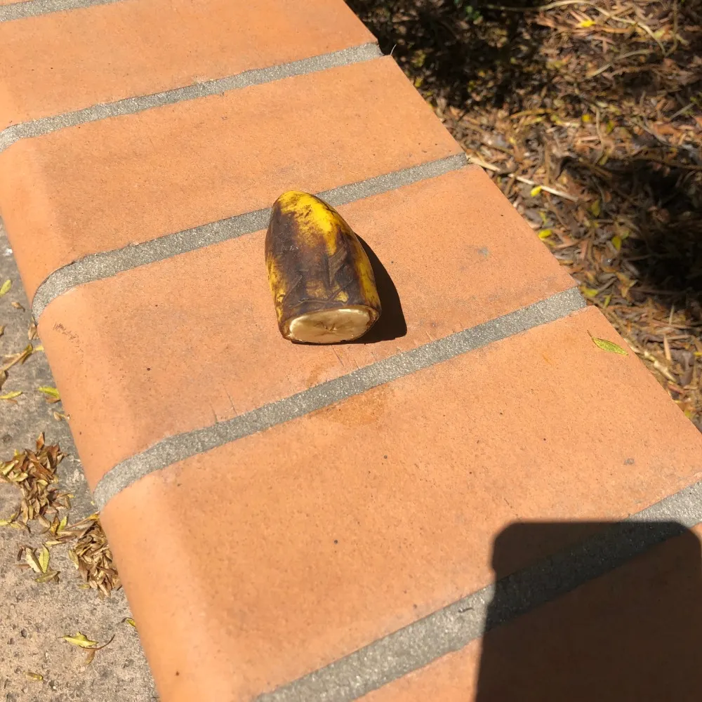 francisgasparini.bsky.social's profile picture