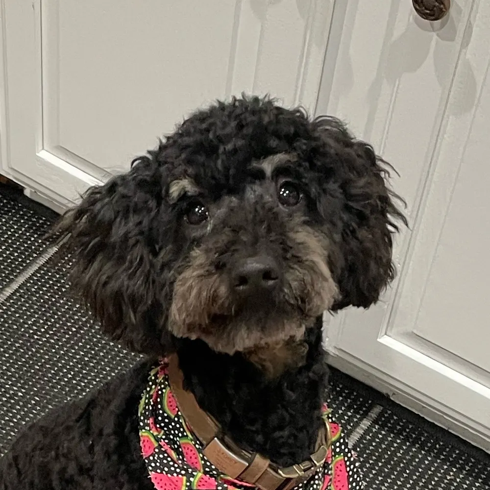 drewwiz.bsky.social's profile picture