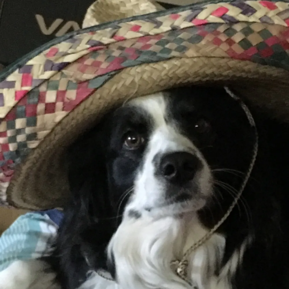 mondakwe.bsky.social's profile picture