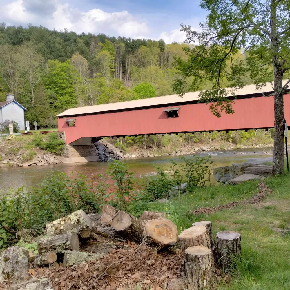 joannkennedy.bsky.social's profile picture