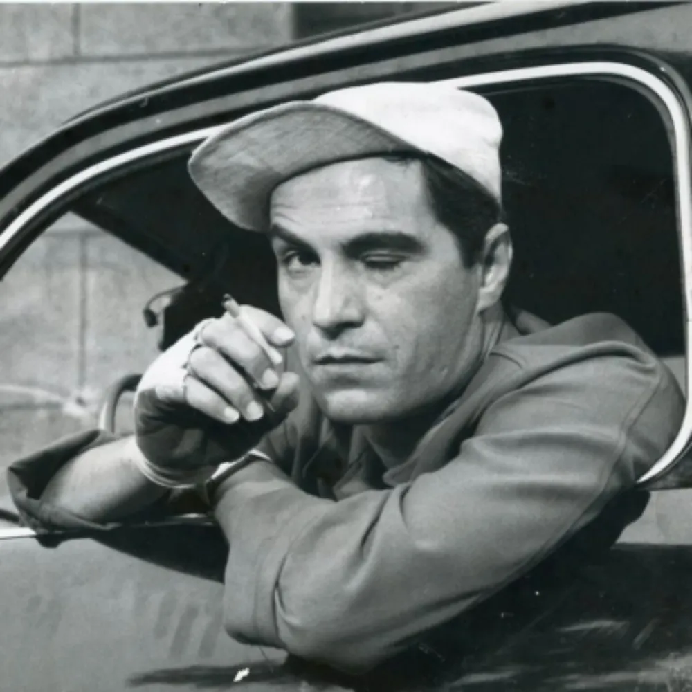 piedea.bsky.social's profile picture