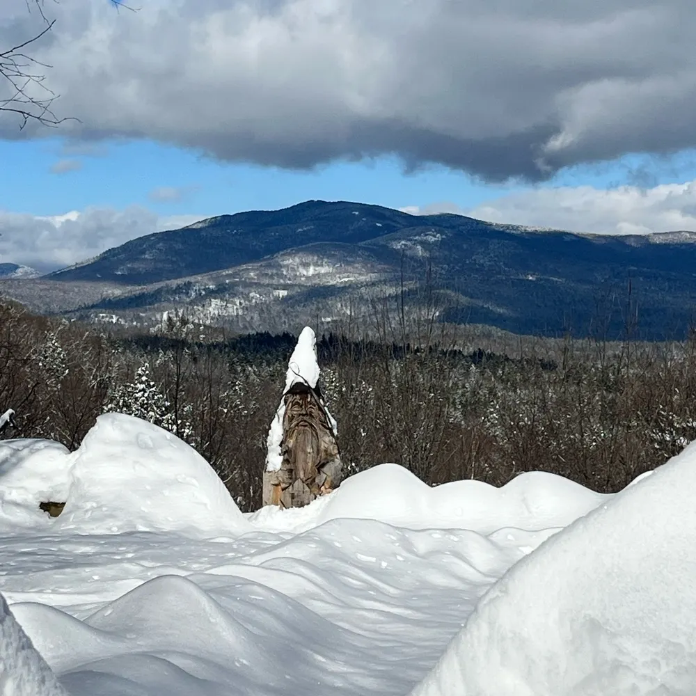 jkochien.bsky.social's profile picture