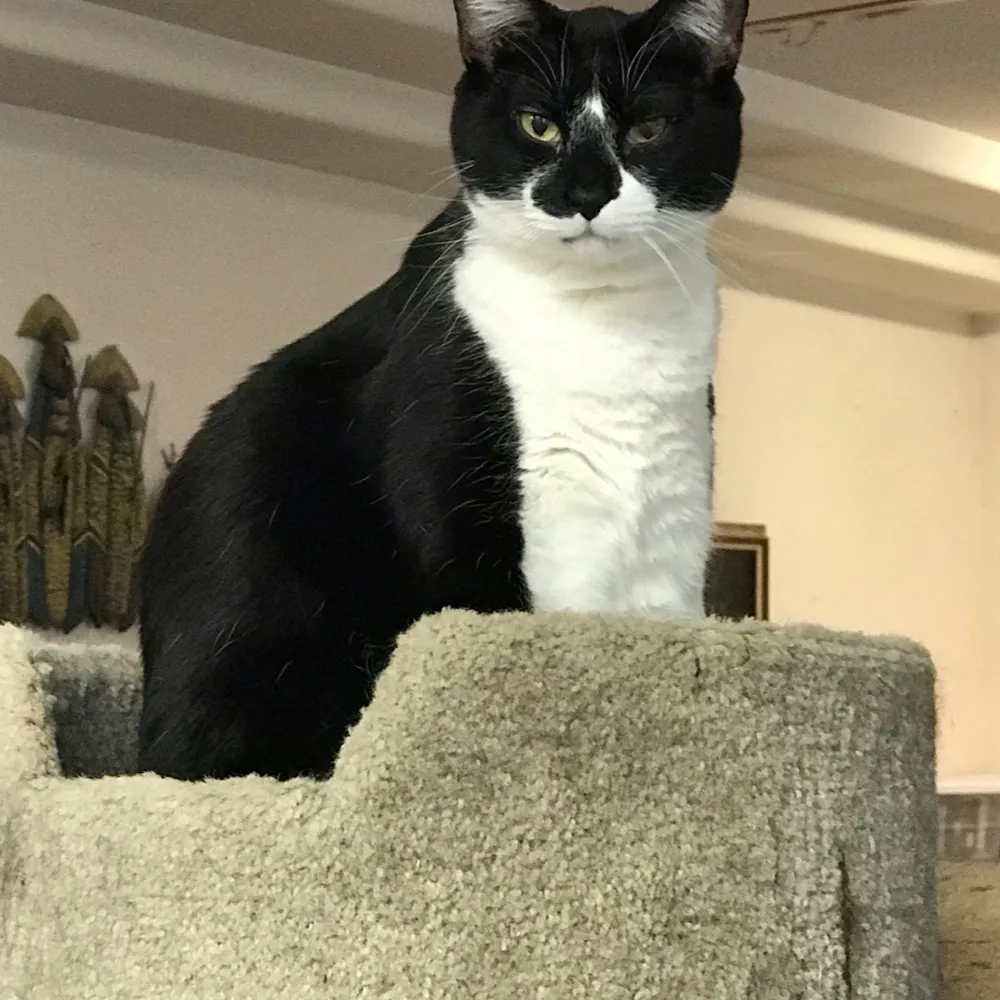 momzilla43.bsky.social's profile picture