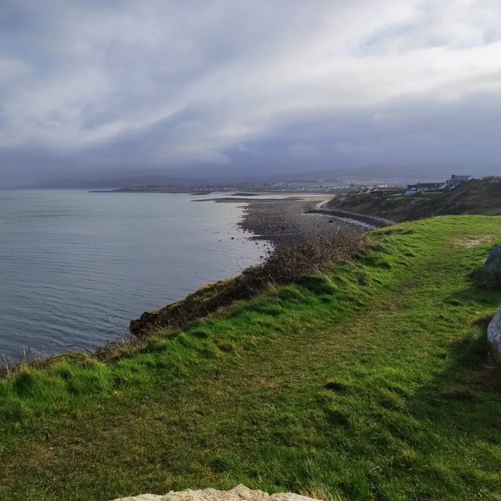 bobbearwales.bsky.social's profile picture