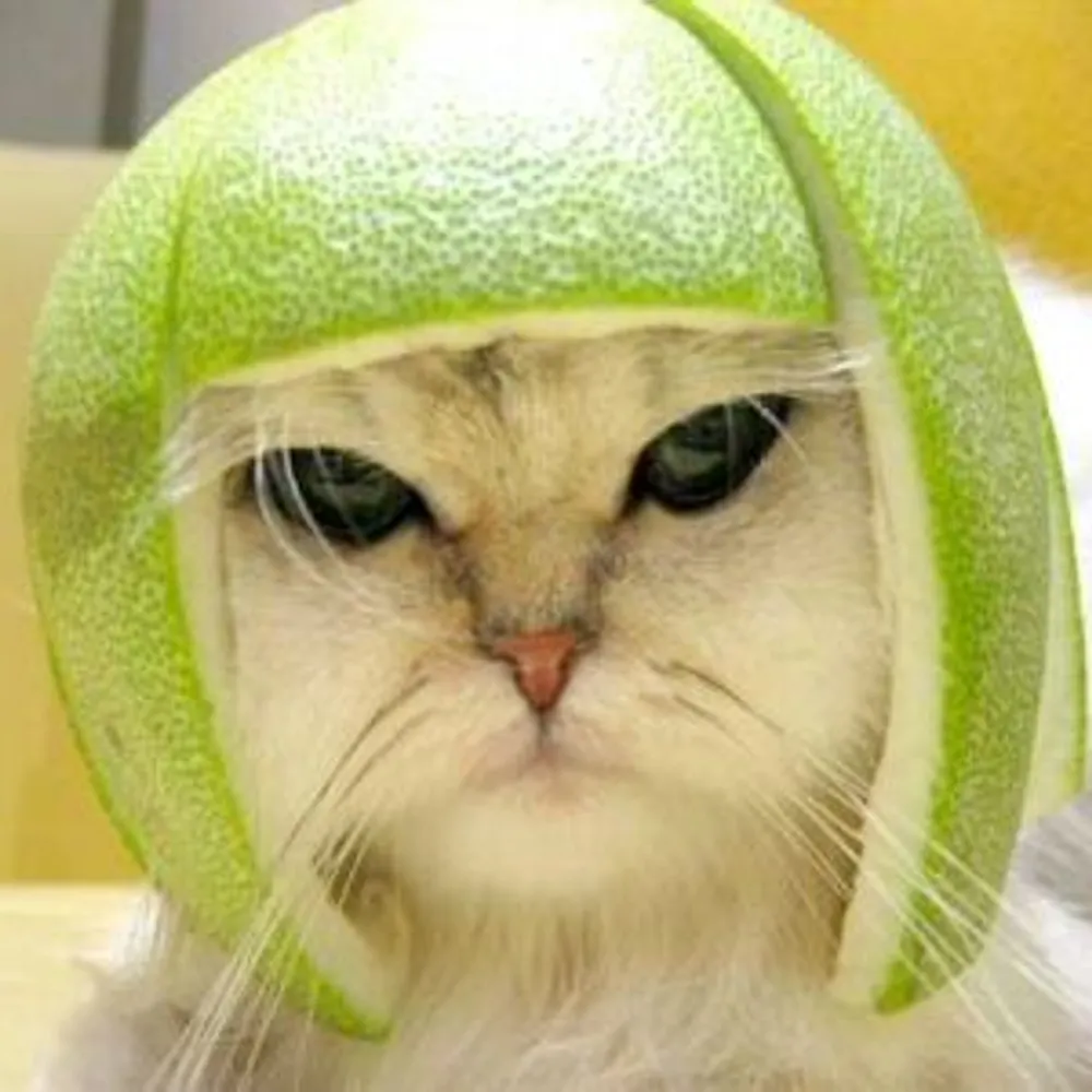 oldsalt946.bsky.social's profile picture