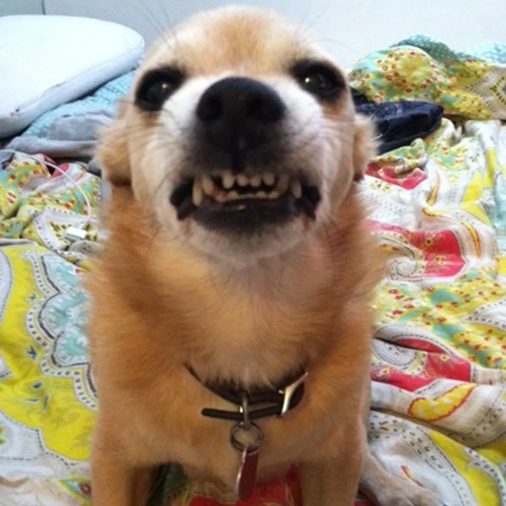 prrh.bsky.social's profile picture