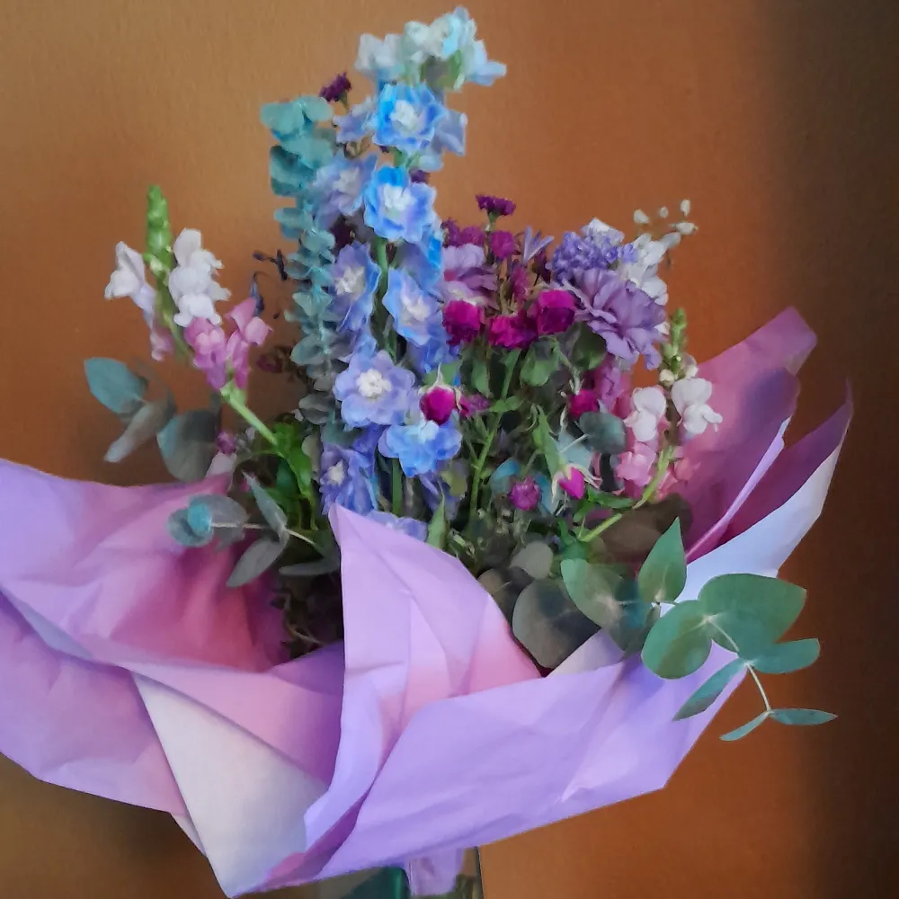 starkiakaha.bsky.social's profile picture