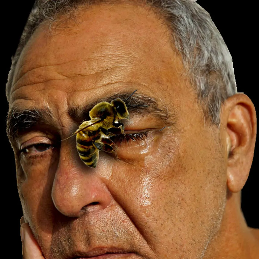 zoilopez.bsky.social's profile picture