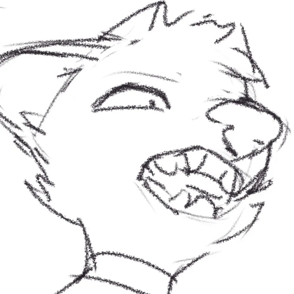 doggymove.bsky.social's profile picture