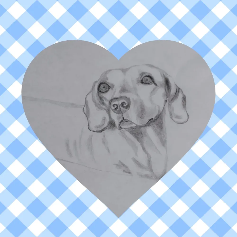 luke2005.bsky.social's profile picture