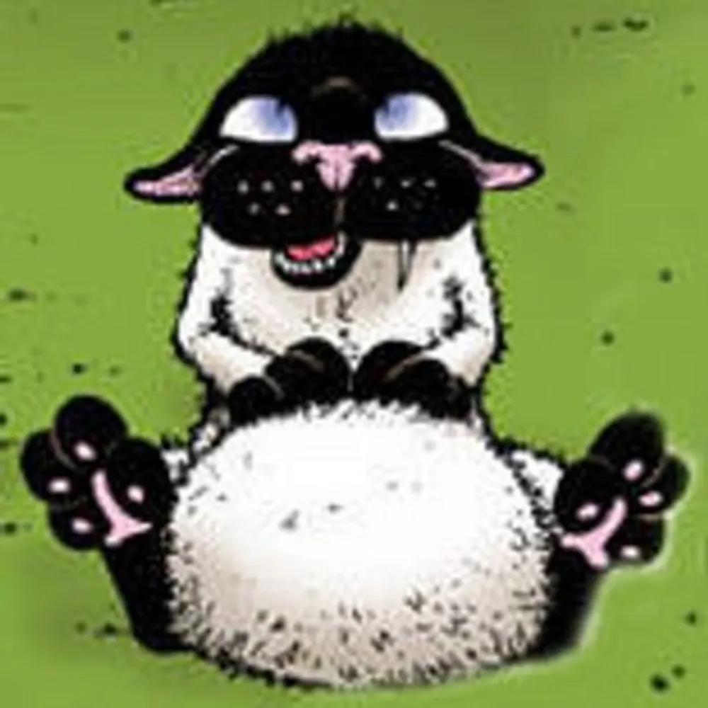 lonestarball.bsky.social's profile picture