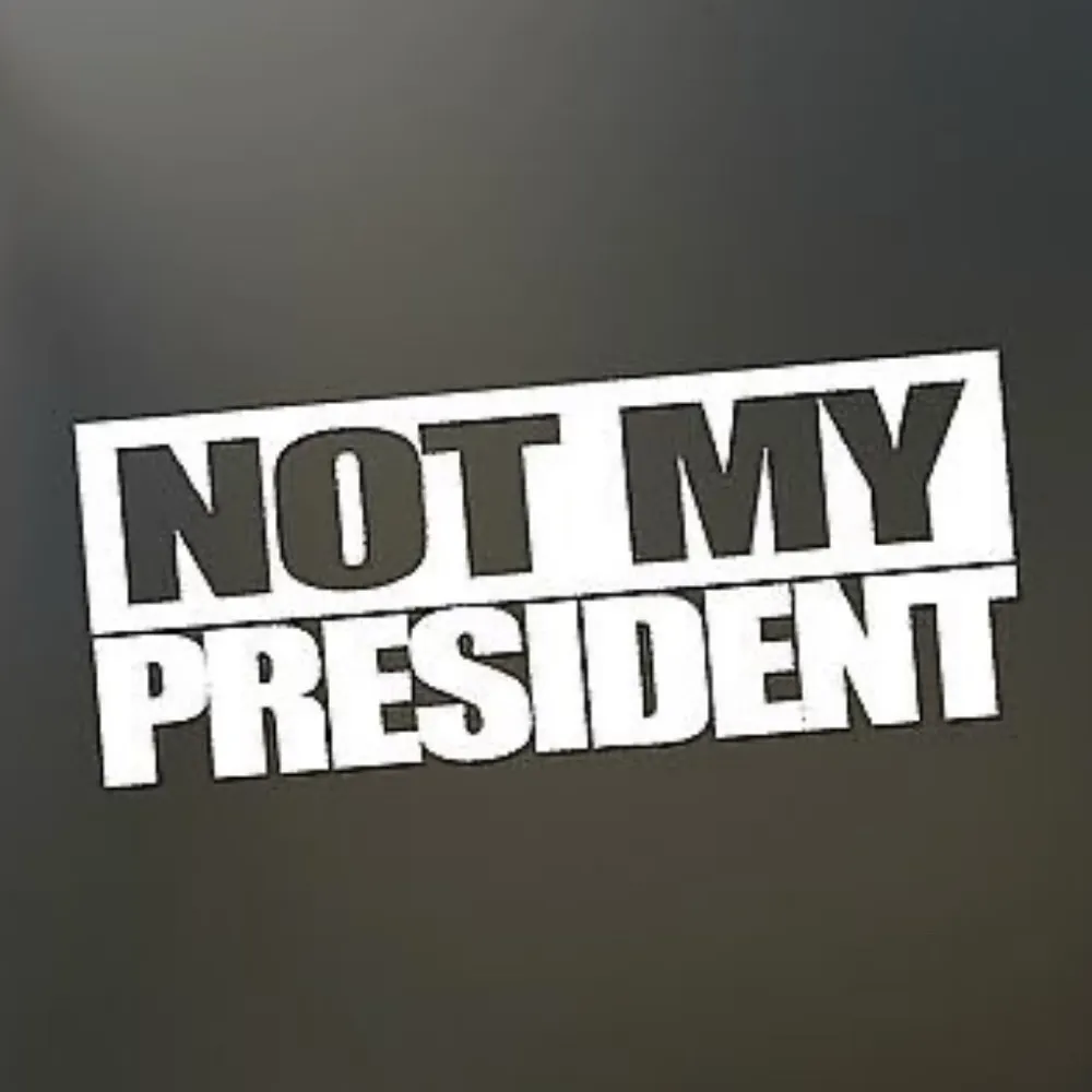 dizappearingact.bsky.social's profile picture