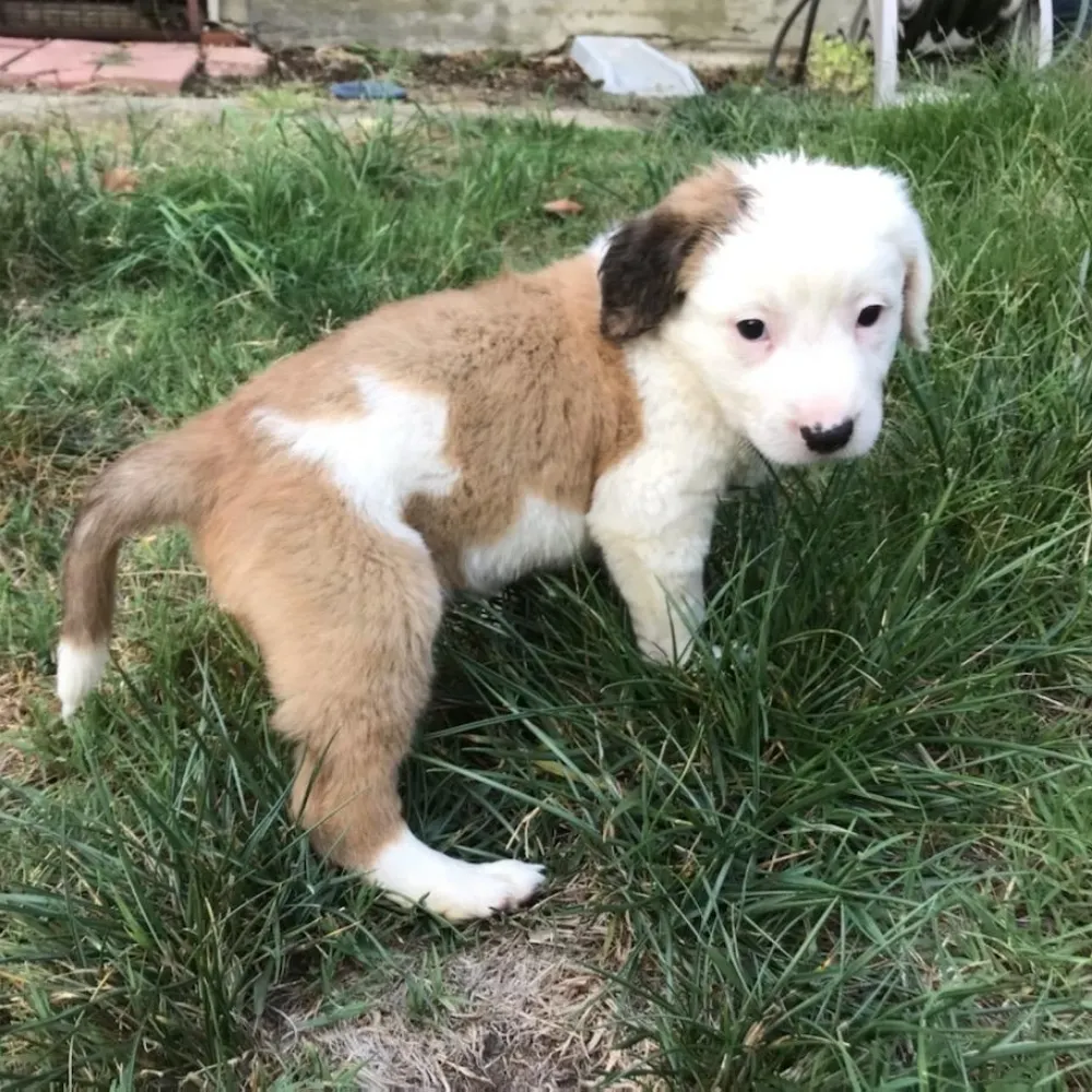 gimliswalkingaxe.bsky.social's profile picture