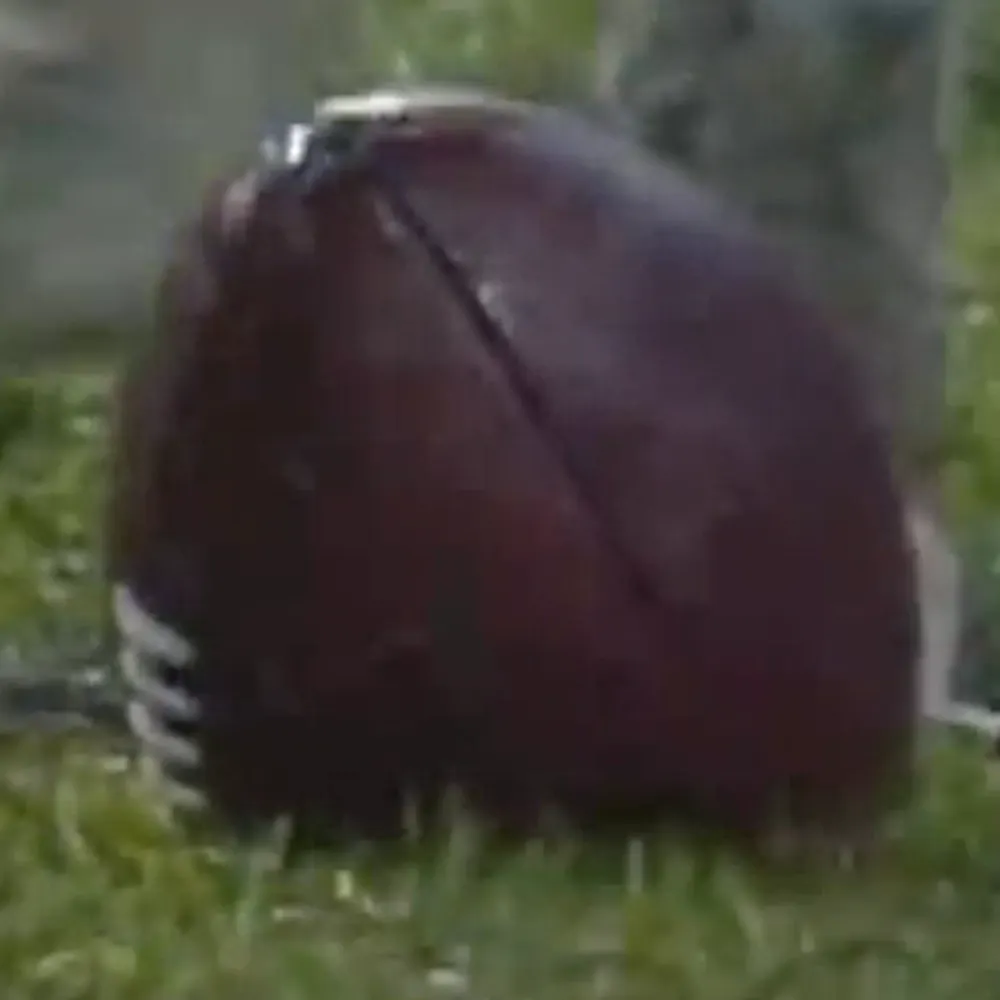 punt1.bsky.social's profile picture