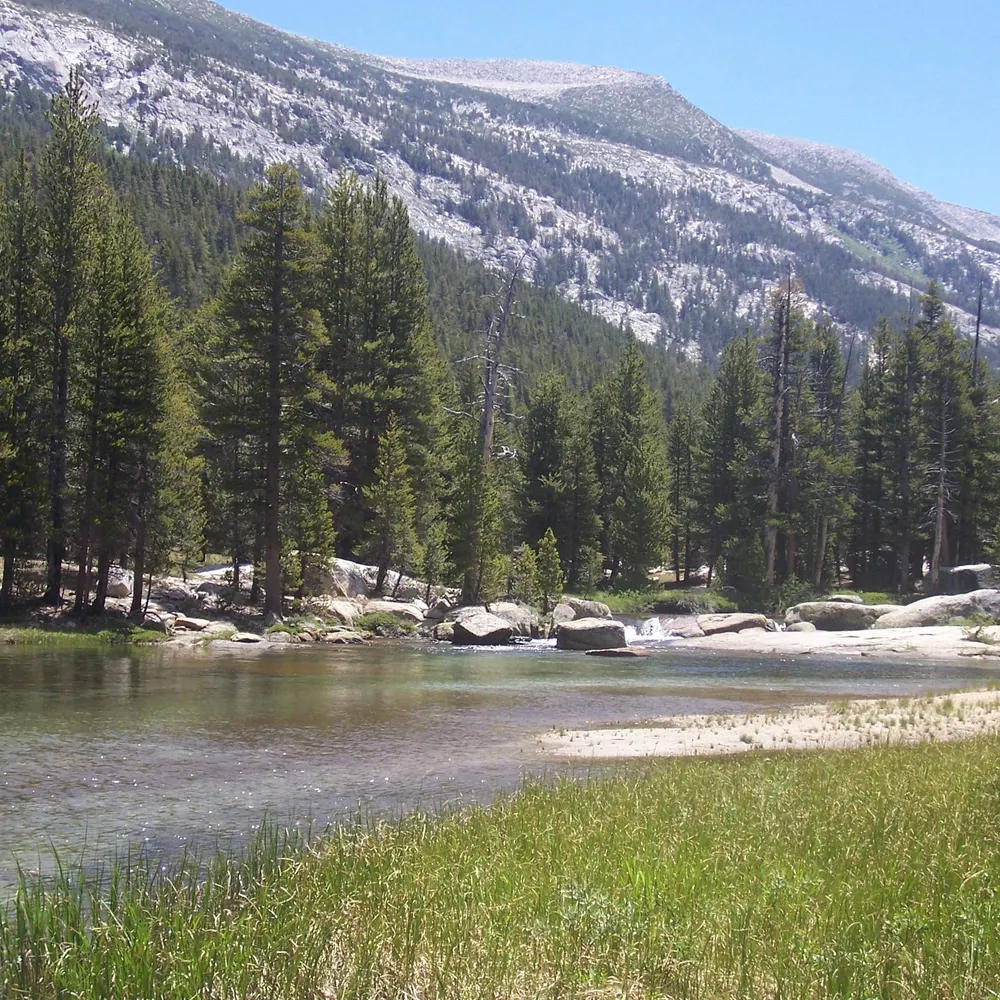 mickey48.bsky.social's profile picture