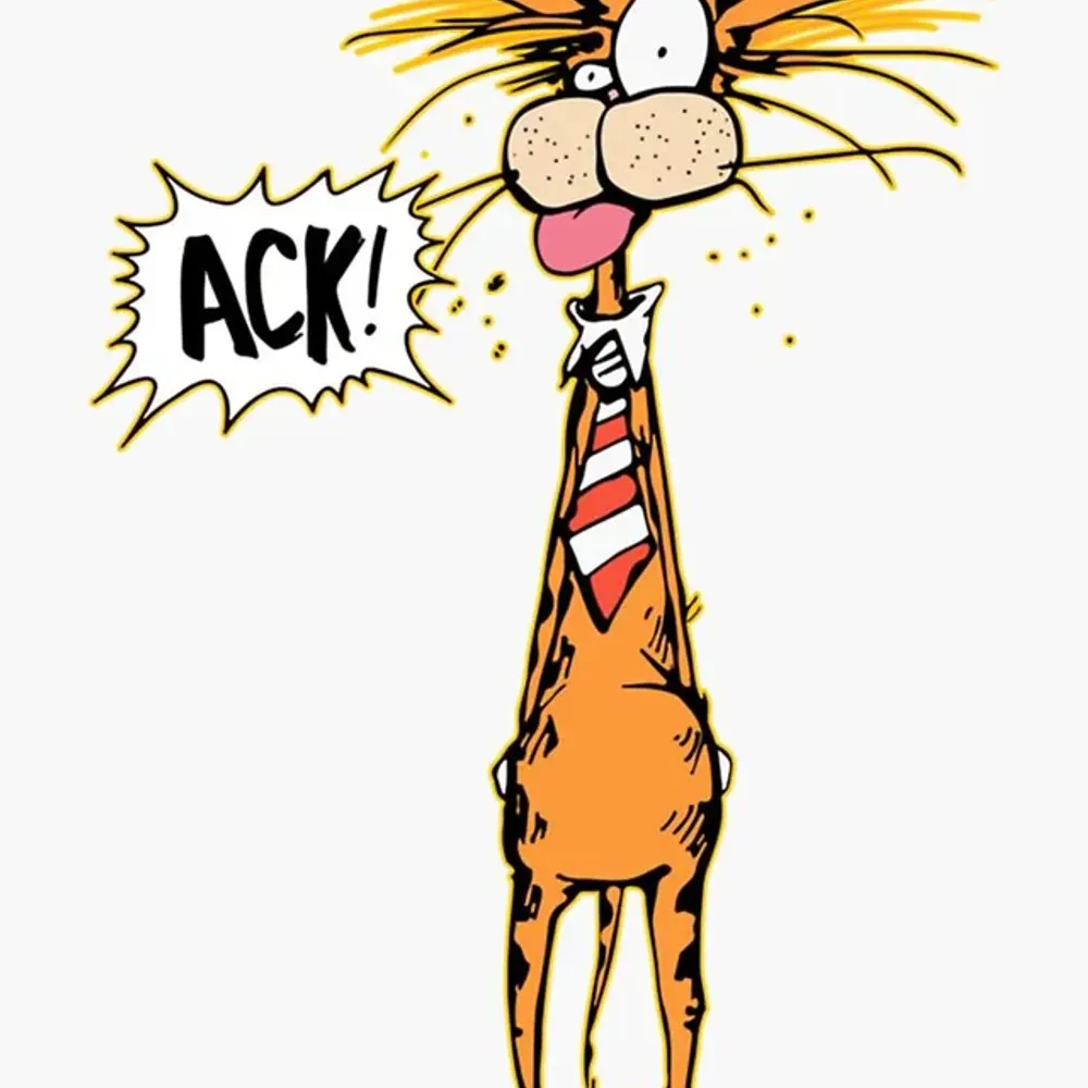 khlamydiacolada.bsky.social's profile picture