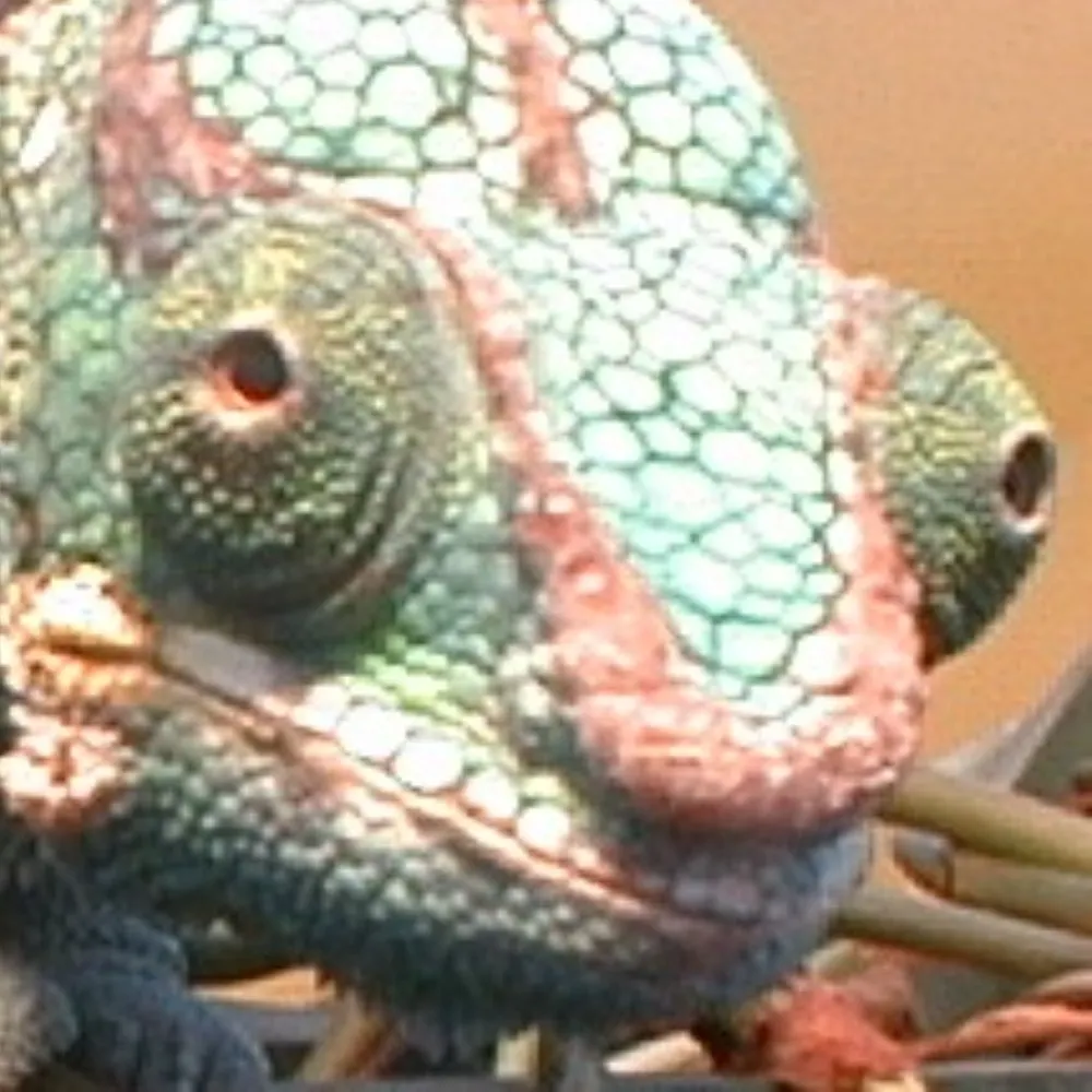 fizbin.bsky.social's profile picture