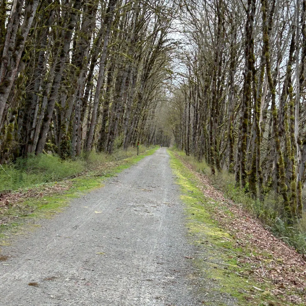 sagebrushflats.bsky.social's profile picture