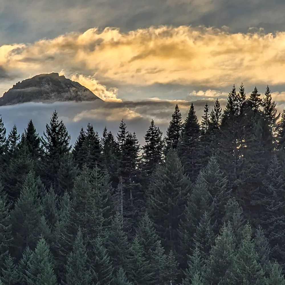 blackanvil.bsky.social's profile picture