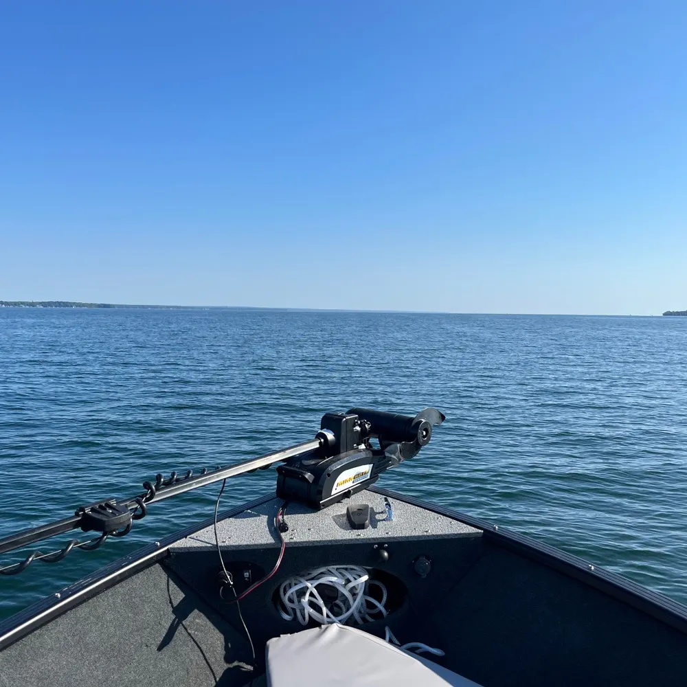 scottymcfly.bsky.social's profile picture