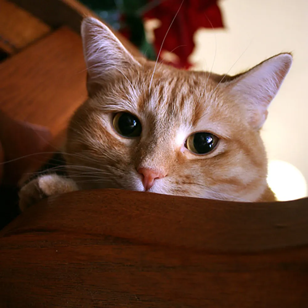 sierrarey10.bsky.social's profile picture