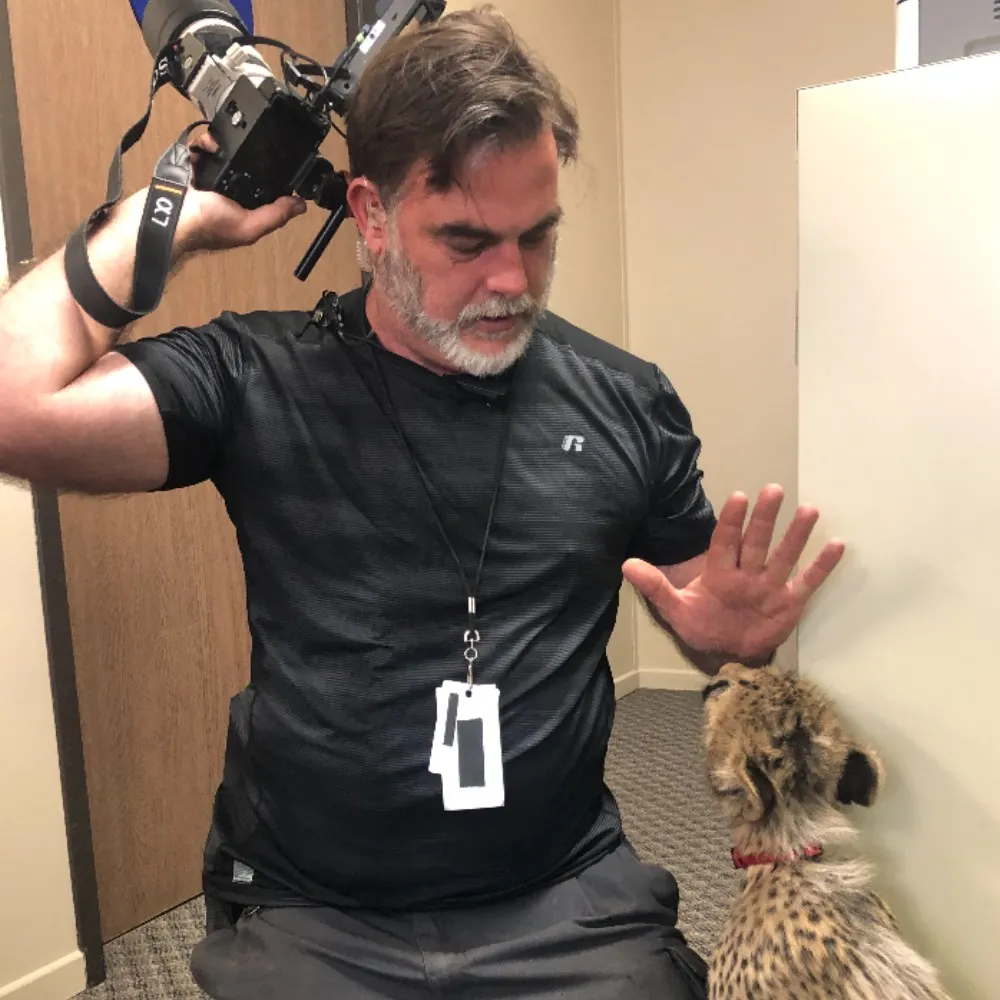 andy869.bsky.social's profile picture