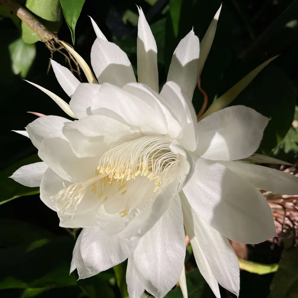 unheardnomore.bsky.social's profile picture