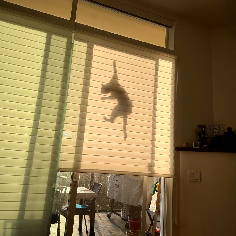 jfloring.bsky.social's profile picture