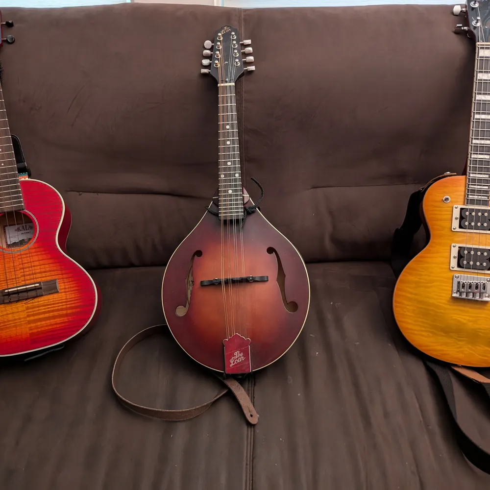 quercusmax.bsky.social's profile picture