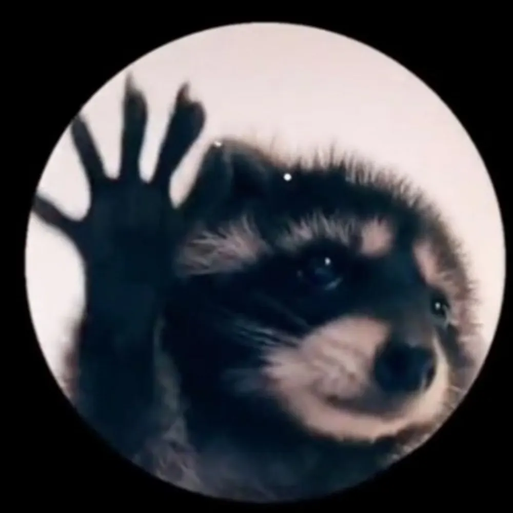 thigo.bsky.social's profile picture