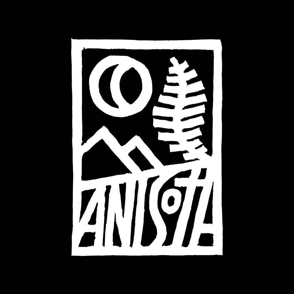 anisota.net's profile picture