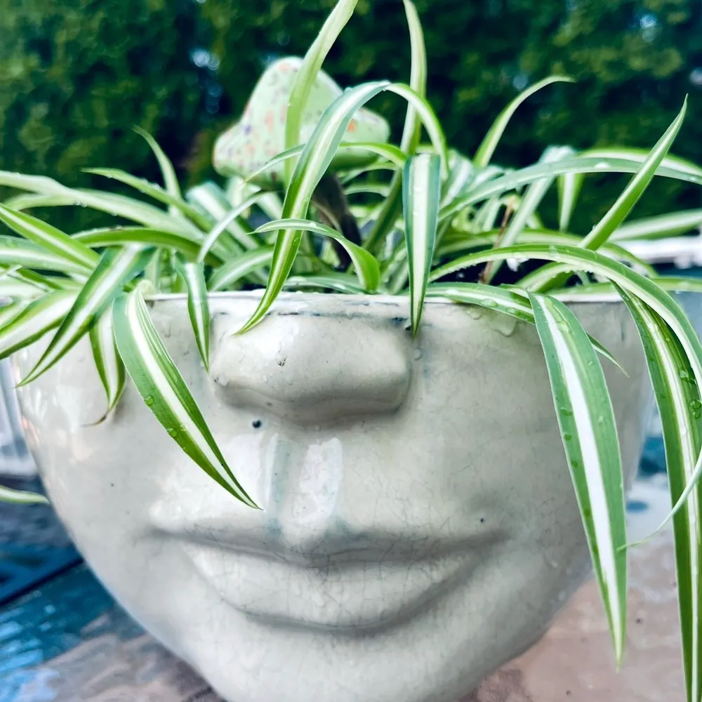 bettyhumpter25.bsky.social's profile picture