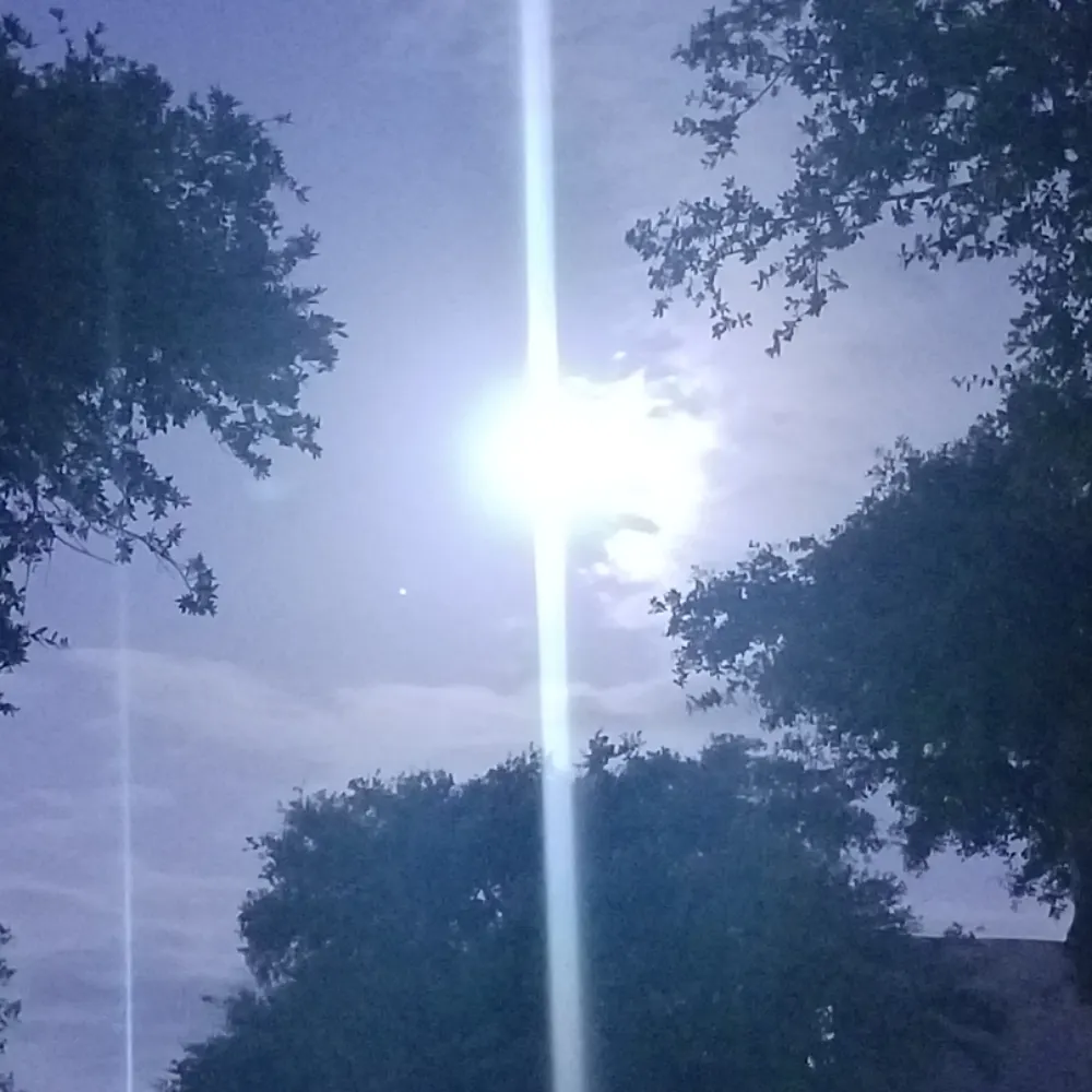 rafaellawednesday.bsky.social's profile picture