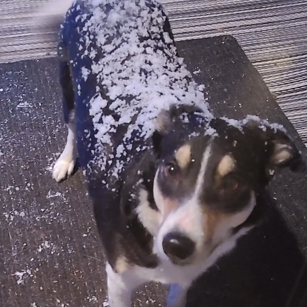 ilasila.bsky.social's profile picture