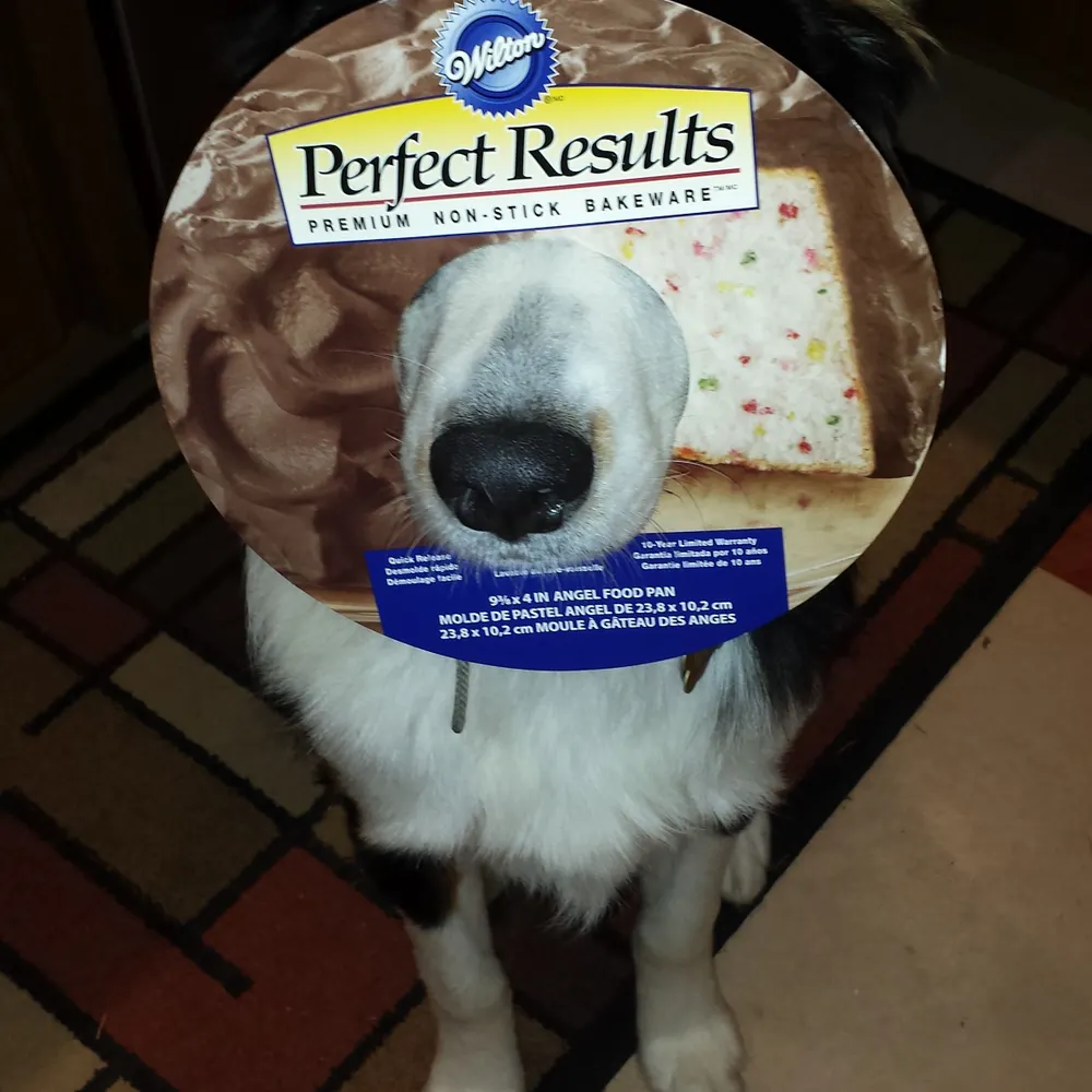 ilovemikemike.bsky.social's profile picture