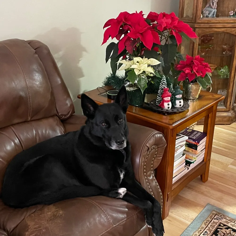 mark-59.bsky.social's profile picture