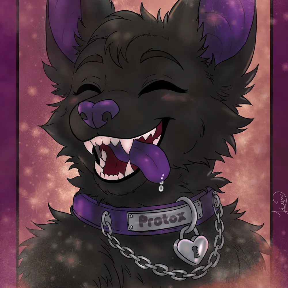 protox05.bsky.social's profile picture