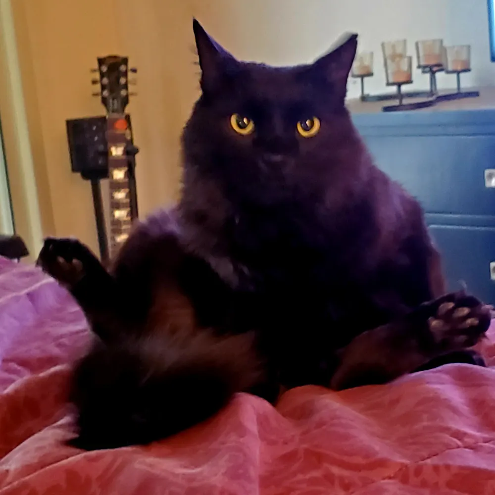 d-dave.bsky.social's profile picture