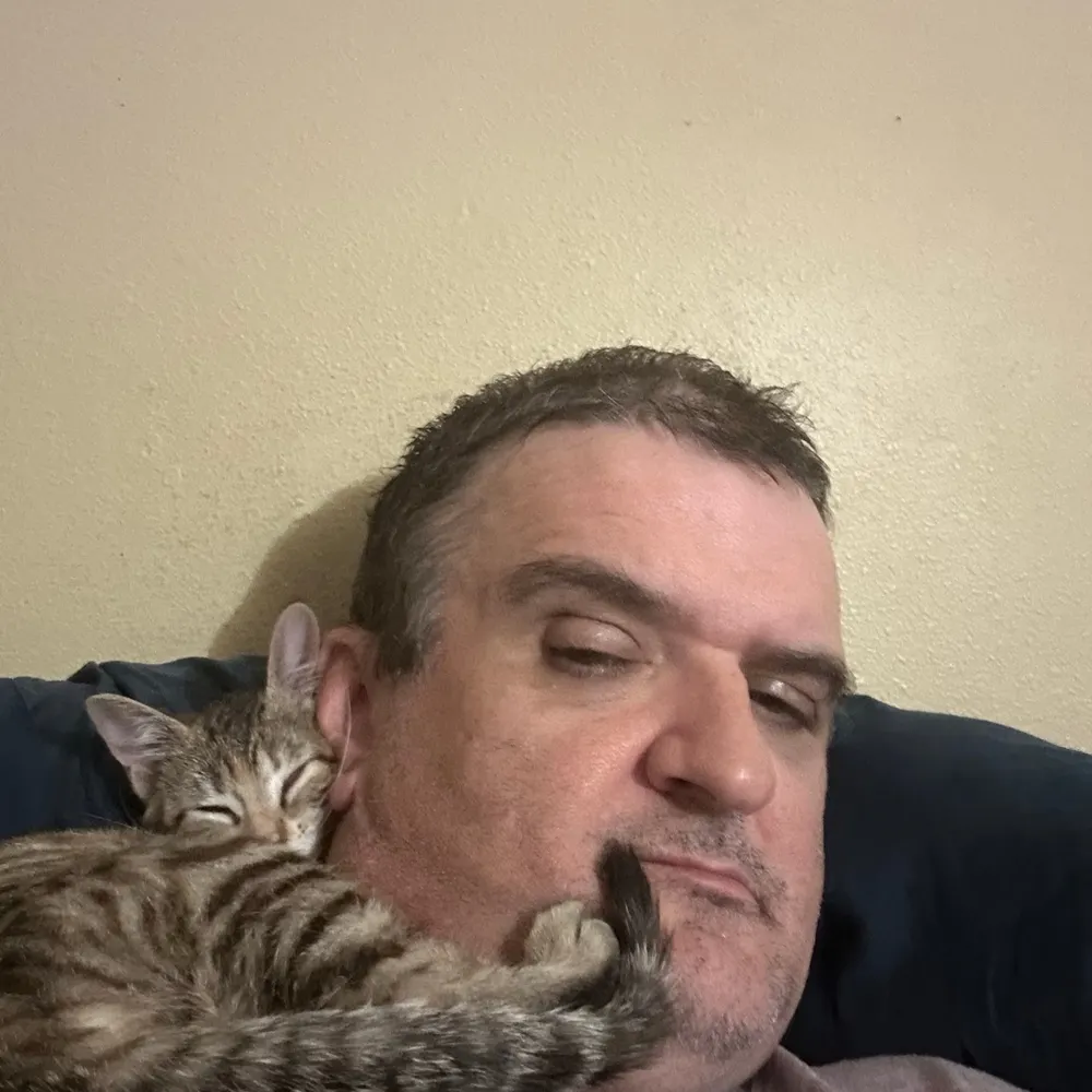 dhaise.bsky.social's profile picture