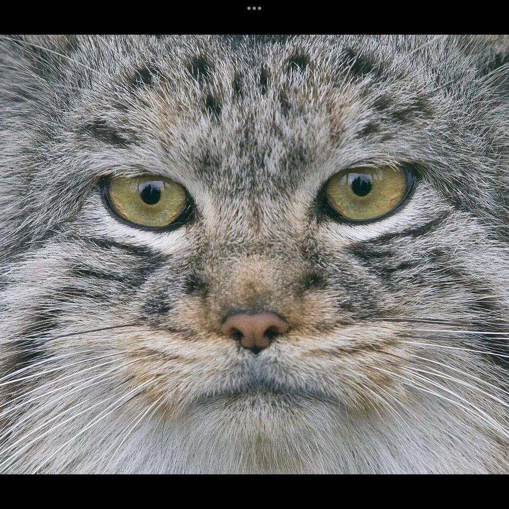 mclemenfield-81.bsky.social's profile picture