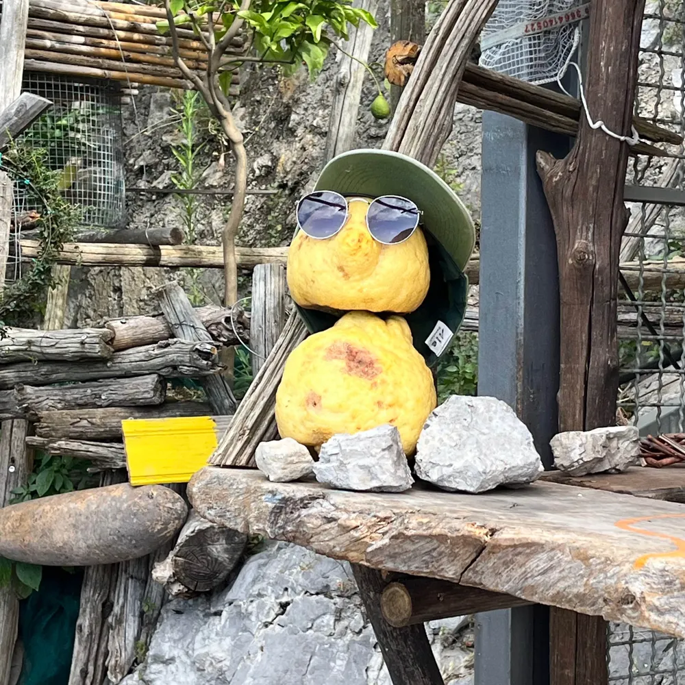 julestheteacher.bsky.social's profile picture