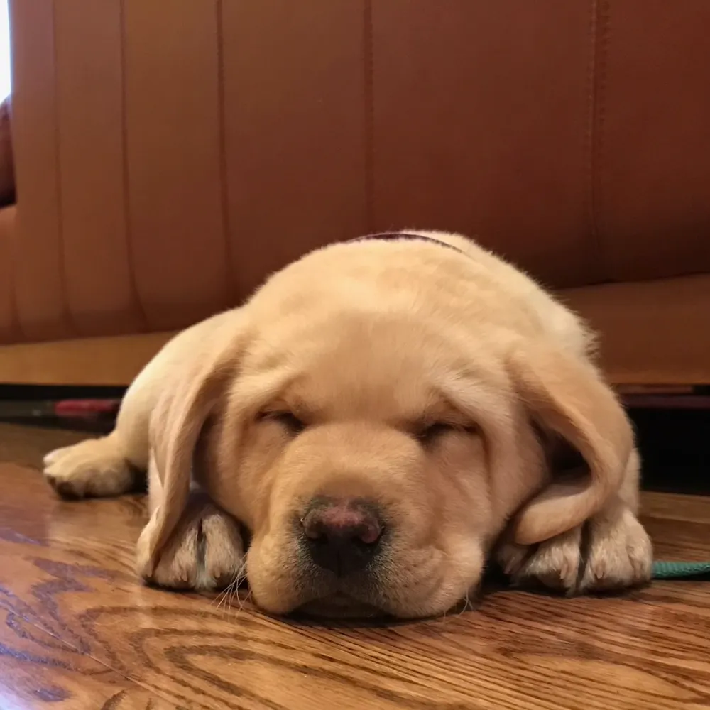 worthyurbanite.bsky.social's profile picture