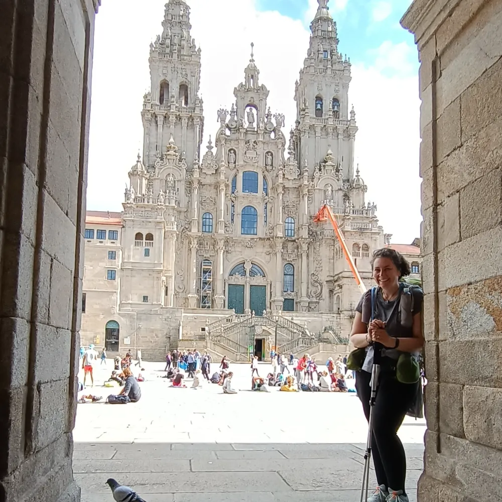 nzjo.bsky.social's profile picture