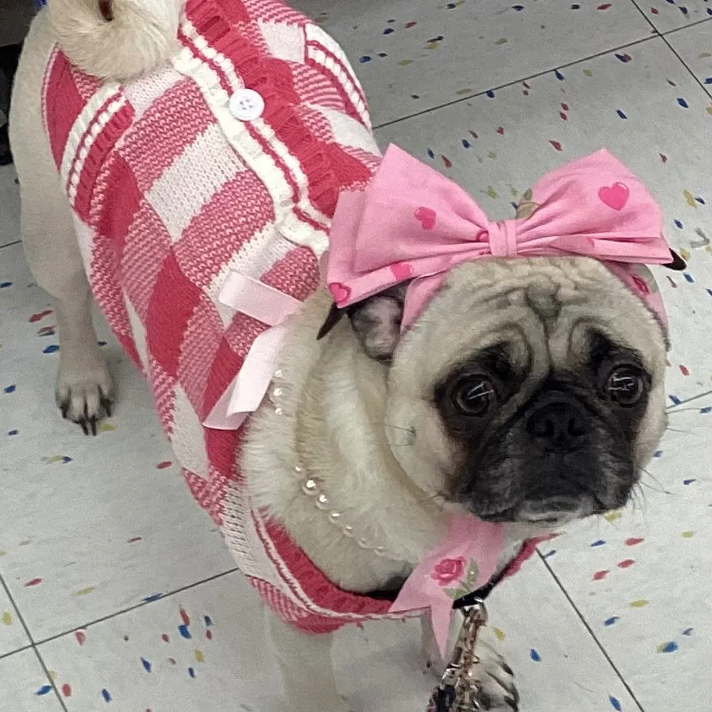 princesspuggy.bsky.social's profile picture