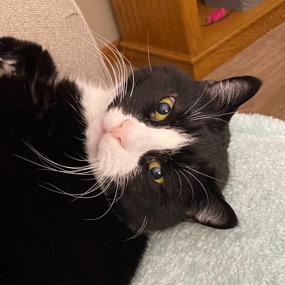 momarcher5.bsky.social's profile picture