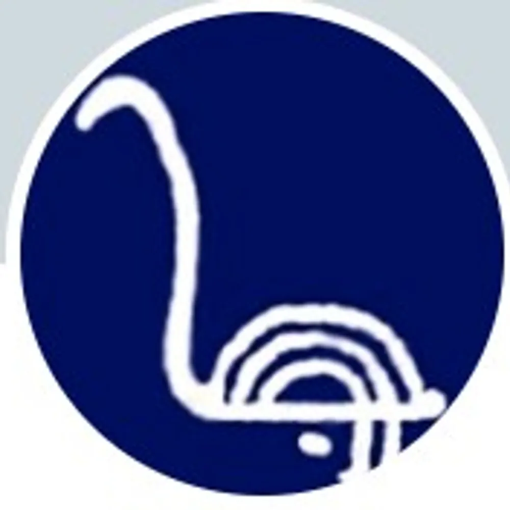 sielulintu.bsky.social's profile picture