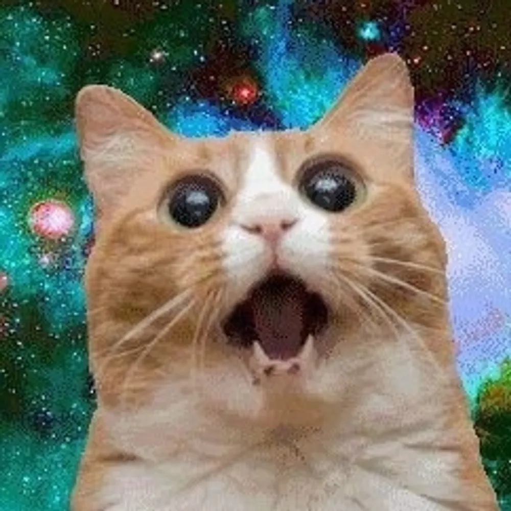 mikstev.bsky.social's profile picture