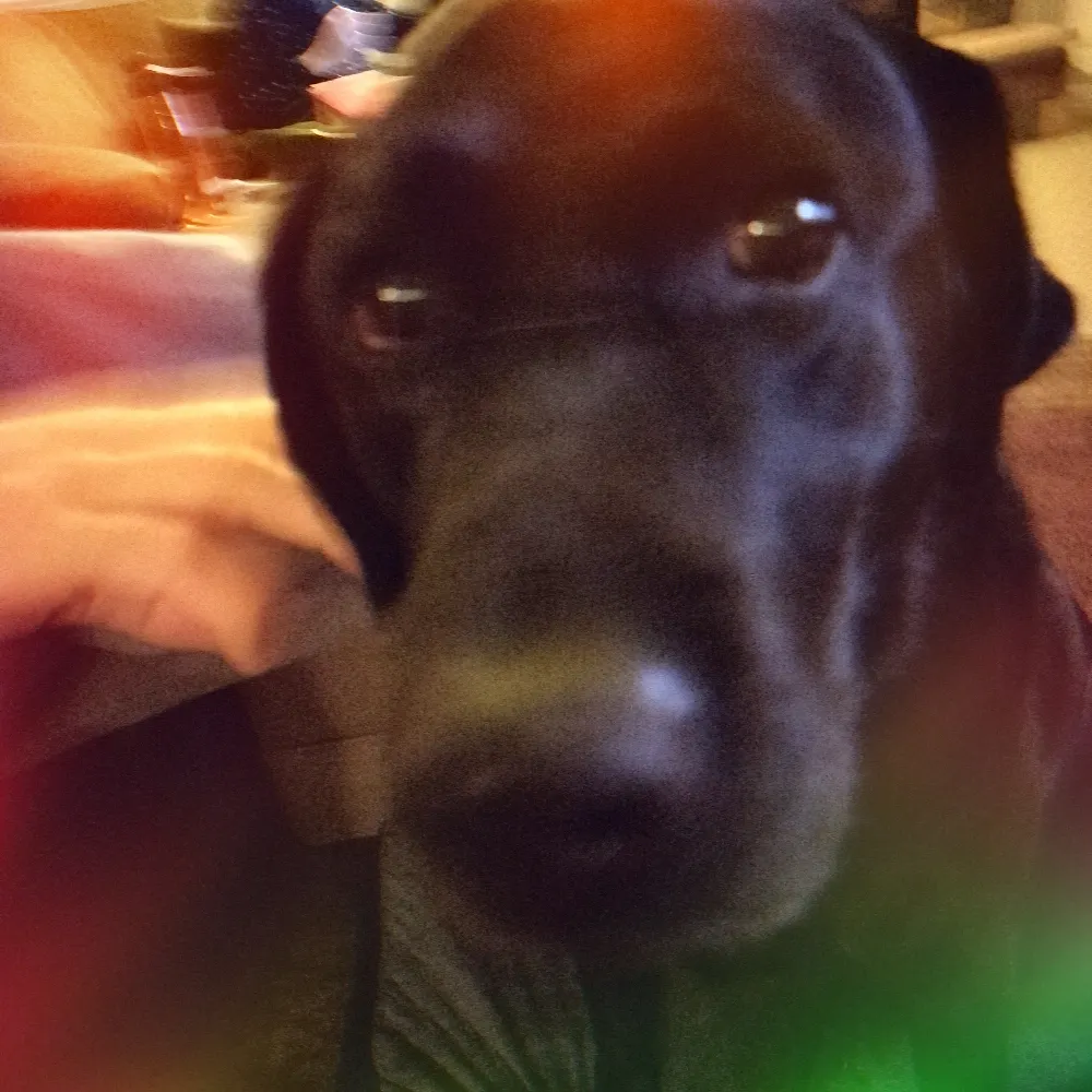 wohio.bsky.social's profile picture