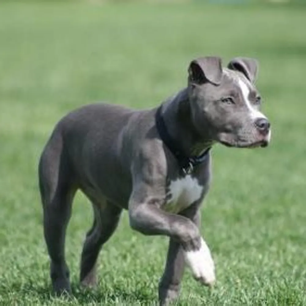 redo67.bsky.social's profile picture