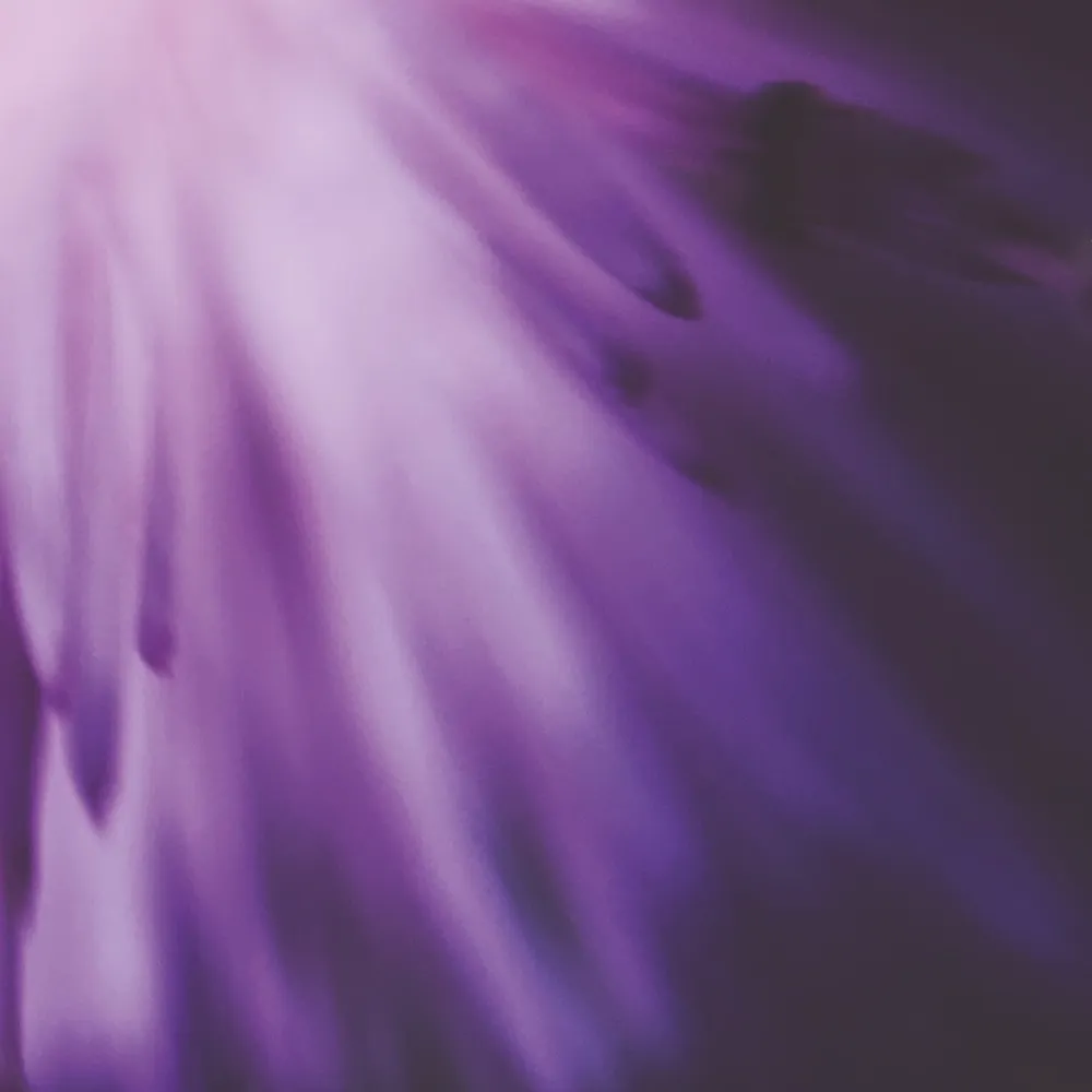 sachadylan.bsky.social's profile picture